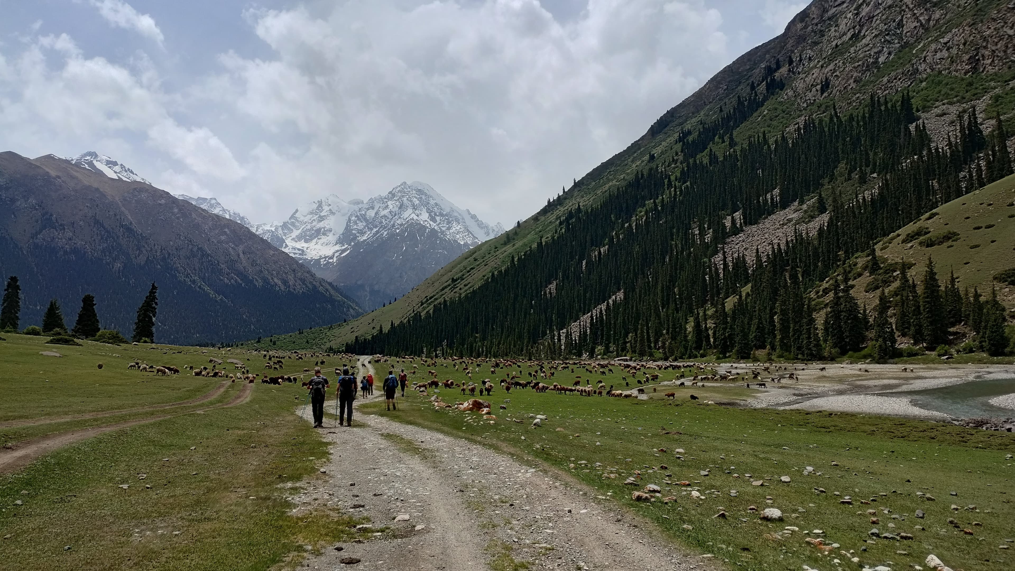 Introducing Peak Ittish, an awe-inspiring mountain peak that stands proudly at an altitude of 4808 meters in the breathtaking Kyrgyz landscape. Translating to "head of dog" in the local language, this snowy summit offers an unforgettable mountaineering experience like no other.