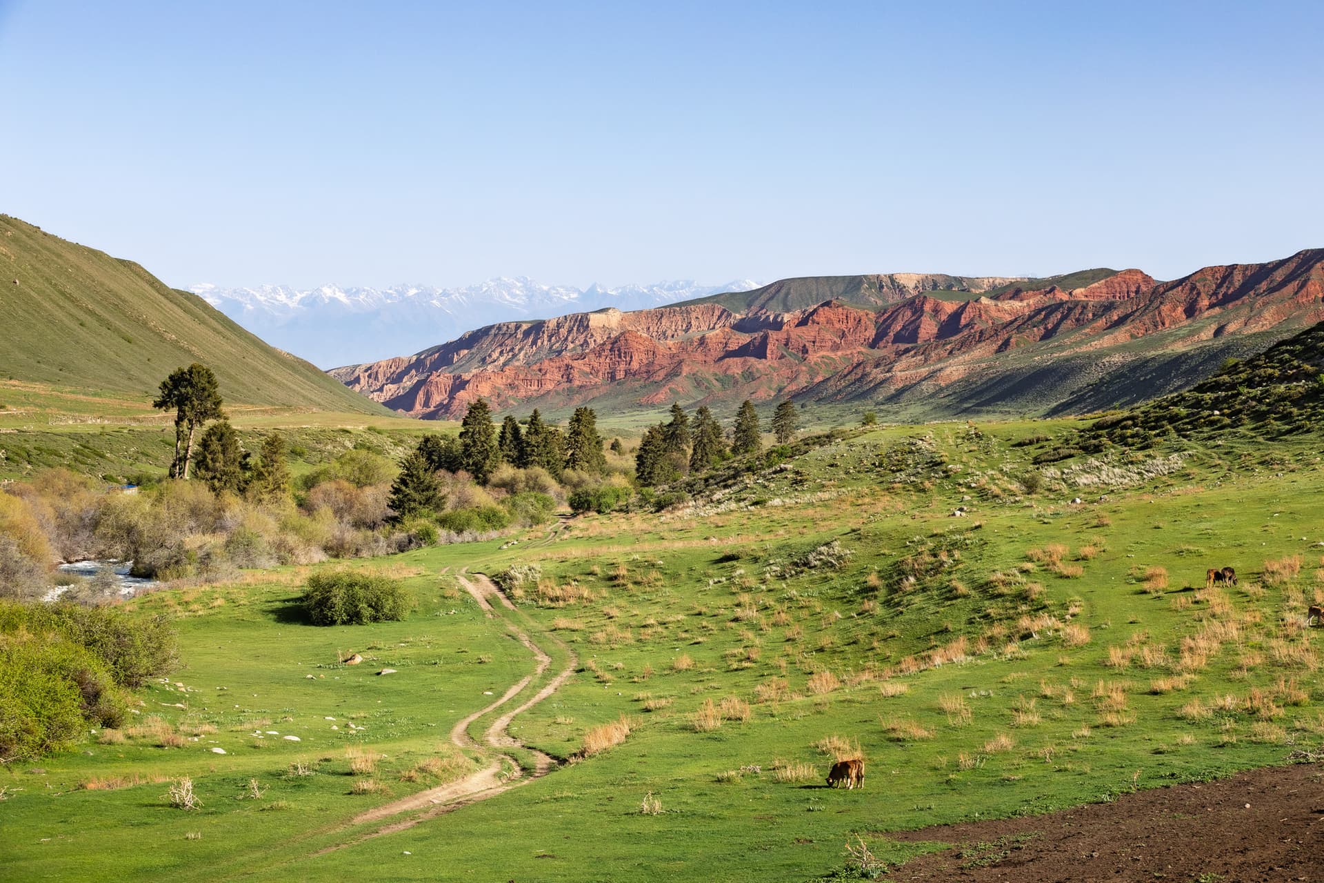 Chong Kyzyl Suu lower valley