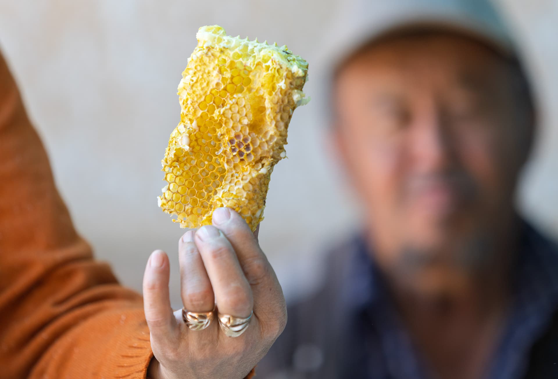 honeycomb