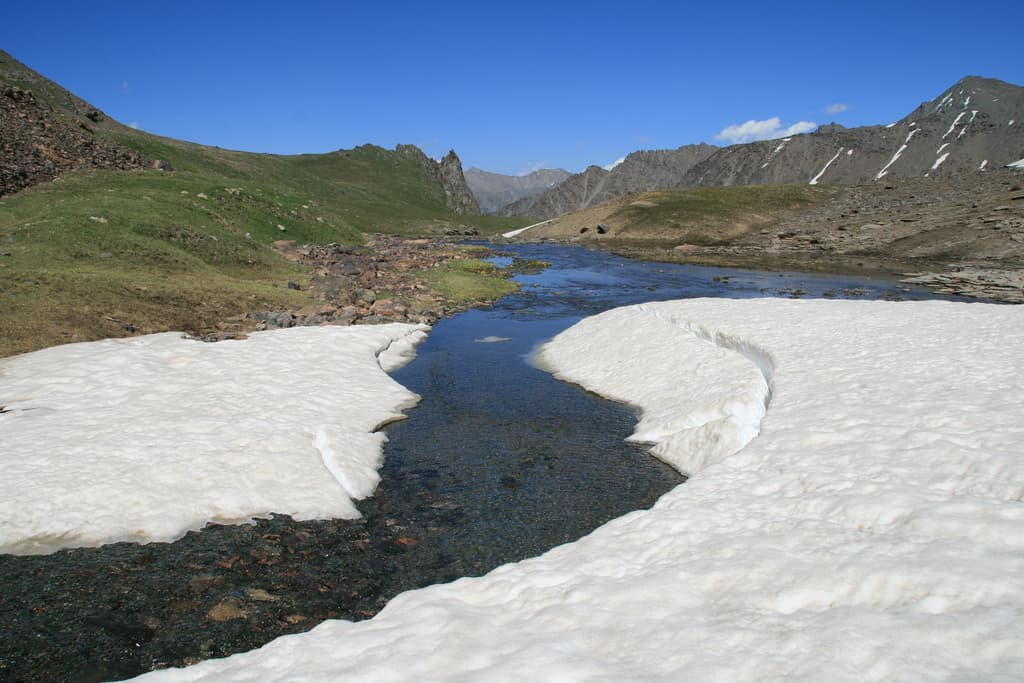 Snowy River