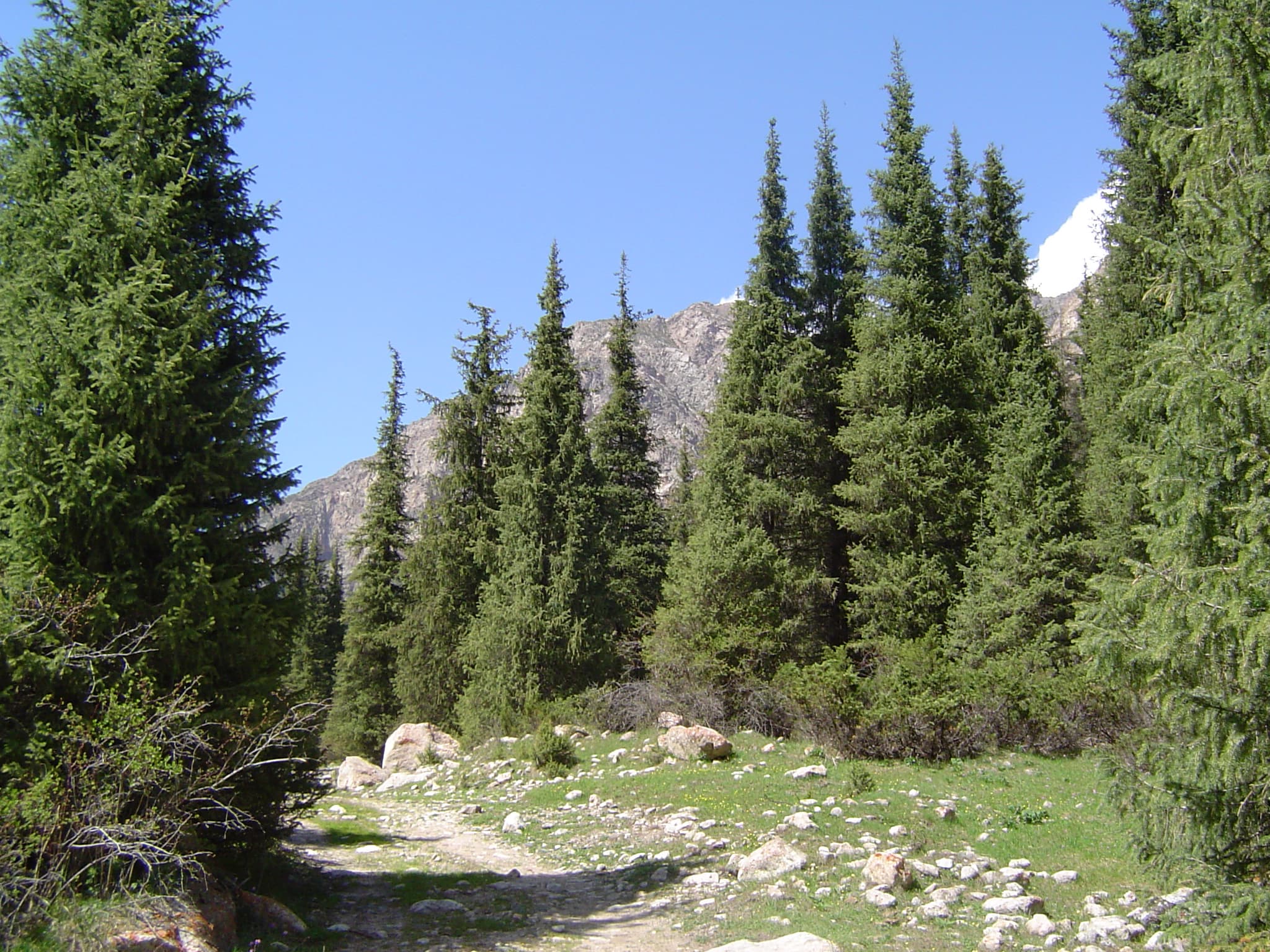 Chong Kyzyl Suu valley