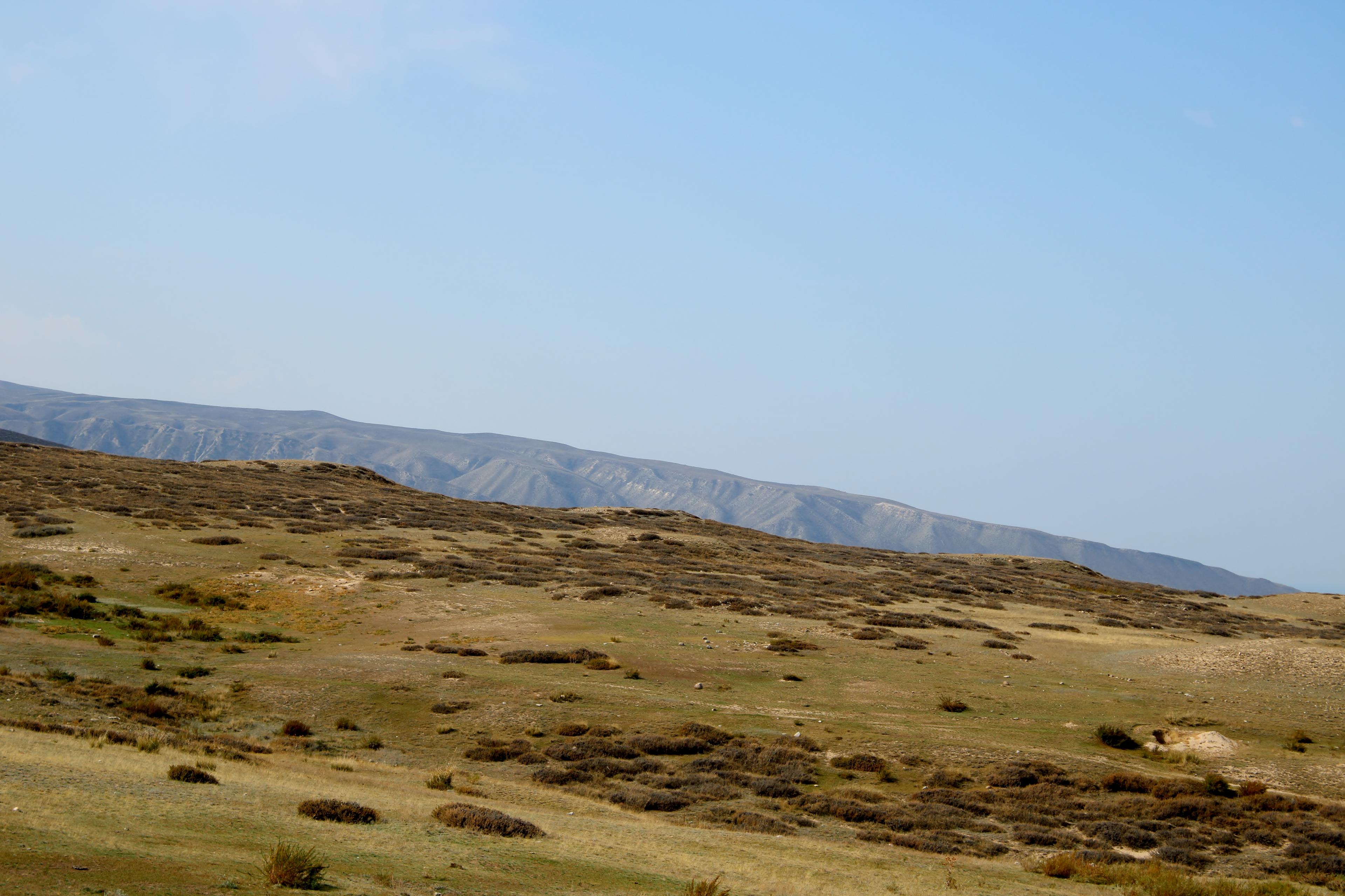 Kourganes of Jalgyz Oruk at the horizon